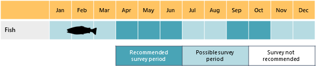 Calendar of fish surveys (April - June, September - October)