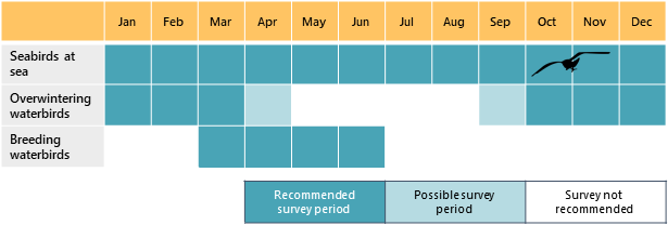 Calendar for surveys of seabirds at sea (all year), overwintering waterbirds (October - March) and breeding waterbirds (March - June)