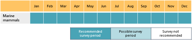 Calendar of marine mammal surveys (year round)